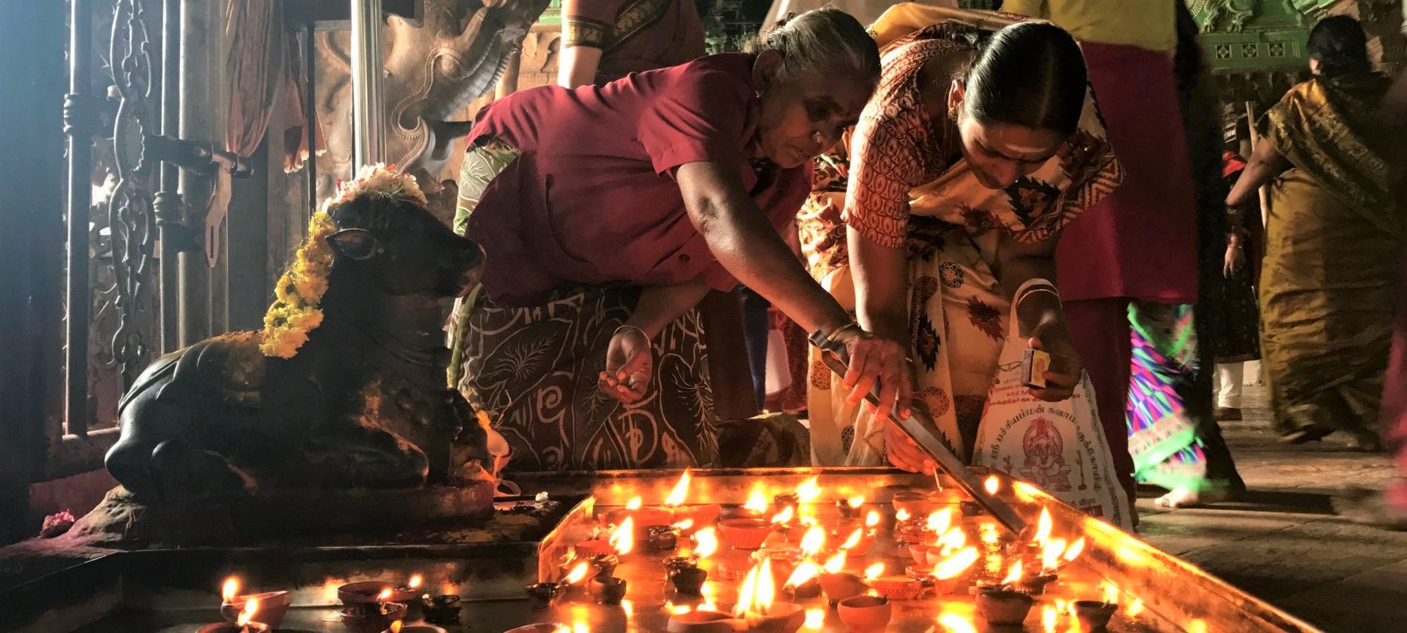 Photos from our India - Kerala Cycling Holiday